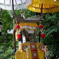 Photo de Bali - Autour de Munduk